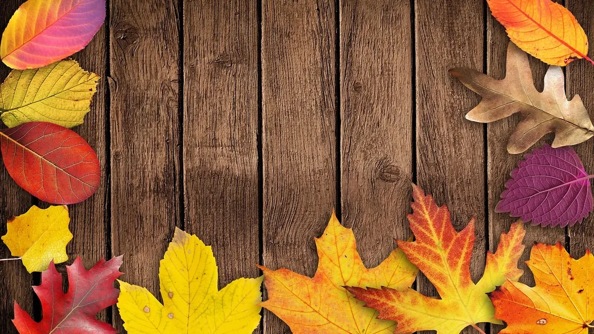 Autumn Tones