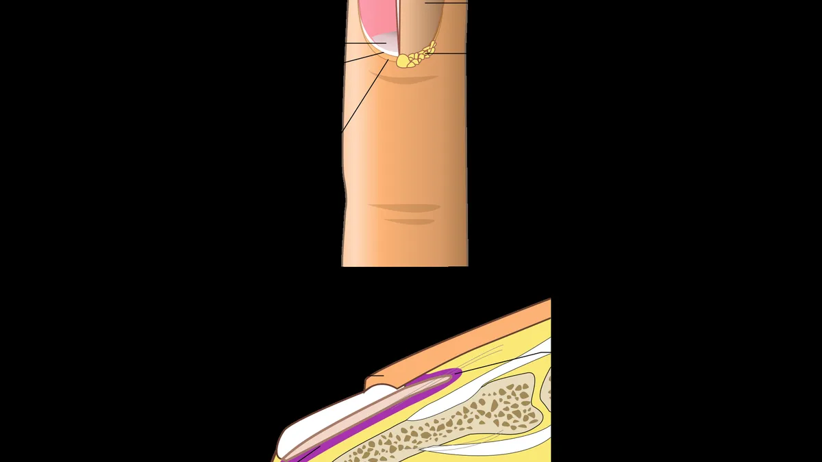 Nail Changes In Older Adults
